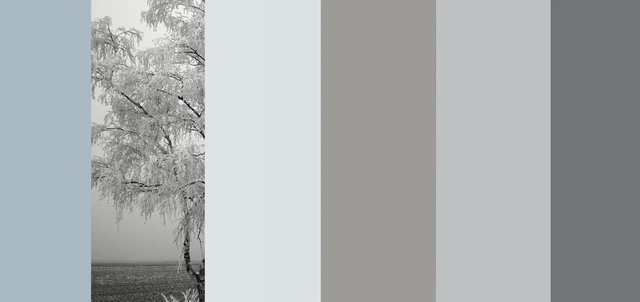 Video Reference: White, Tree, Atmospheric phenomenon, Black-and-white, Monochrome photography, Sky, Branch, Monochrome, Photography, Wood