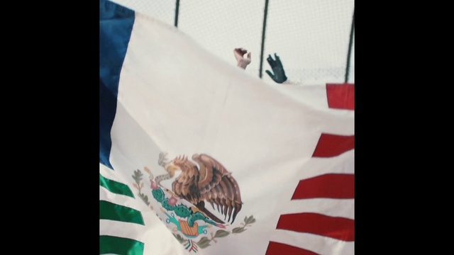 Video Reference: Flag, Organism, Textile, Room, Sporting Group, Canidae, Art