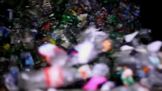 Video Reference: Crowd, People, Audience, Event, Festival