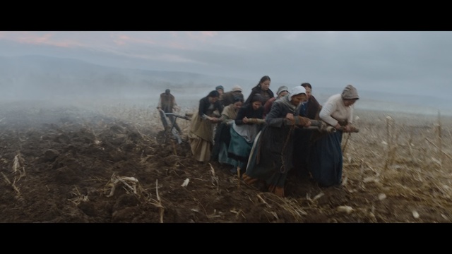 Video Reference: Adaptation, Photography, Stock photography, Landscape, Soil