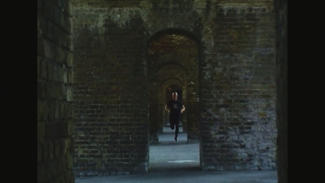 Video Reference: Arch, Darkness, Architecture, Historic site, Wall, Tunnel, Building, Infrastructure, Dungeon, Crypt