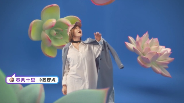 Video Reference: Sky, Fun, Performance, Flower, Plant, Balloon