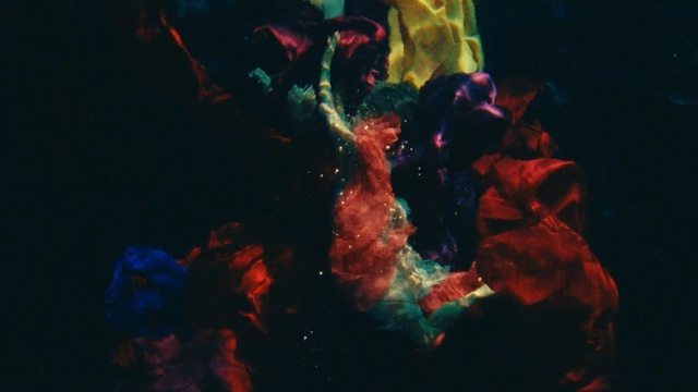 Video Reference: Organism, Art, Space, World, Darkness