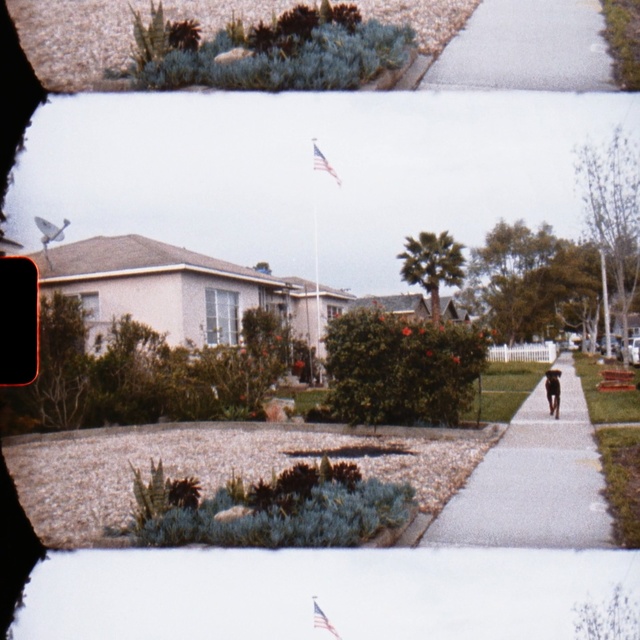 Video Reference: Snow, Winter, Tree, Water, Home, Leaf, House, Grass, Architecture, Reflection, Person