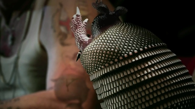 Video Reference: hand, finger