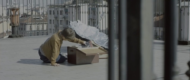 Video Reference: window