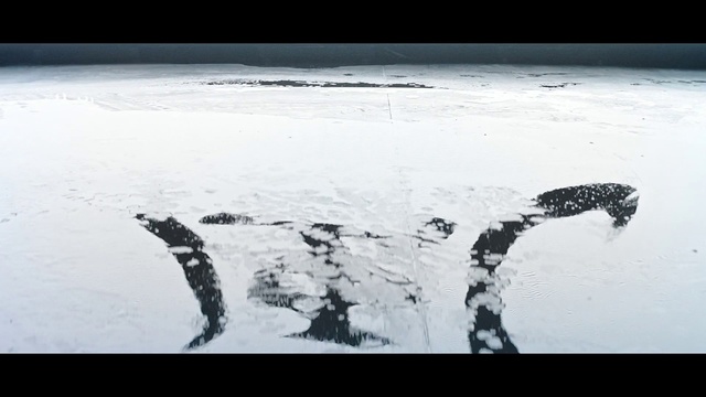 Video Reference: Water, Black-and-white, Tree, Photography, Sea, Ice, Landscape, Monochrome photography, Wave, Reflection