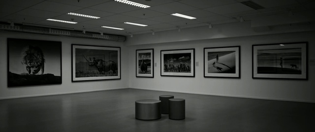 Video Reference: Art gallery, Black-and-white, Museum, Art exhibition, Tourist attraction, Exhibition, Art, Building, Room, Visual arts, Person