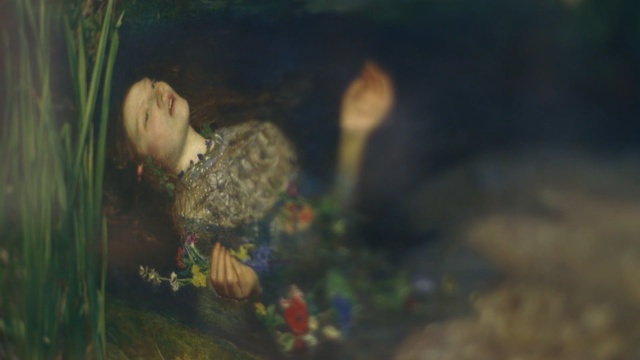 Video Reference: painting, underwater, aquarium, organism, grass, sunlight, water, tree