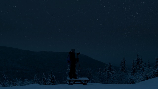 Video Reference: Sky, Snow, Winter, Black, Night, Blue, Light, Tree, Darkness, Atmosphere