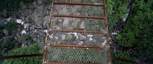 Video Reference: Mesh, Net, Wire fencing, Cage, Chain-link fencing, Plant, Fence