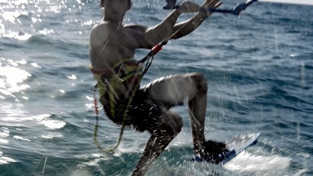 Video Reference: water, caribou, deer, sea, horse, ocean