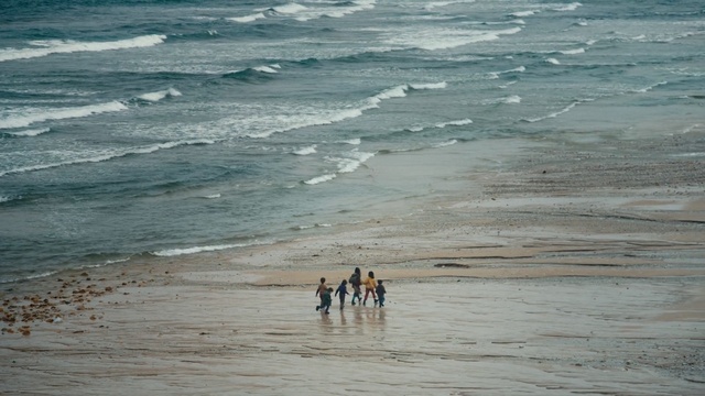 Video Reference: Sea, Ocean, Beach, Wave, Coast, Shore, Tide, Sky, Water, Wind wave
