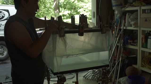 Video Reference: furniture, glass, window