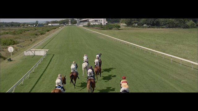Video Reference: Grass, Sports, Player, Horse racing, Sport venue, Team sport, Team, Artificial turf, Plain, Animal sports
