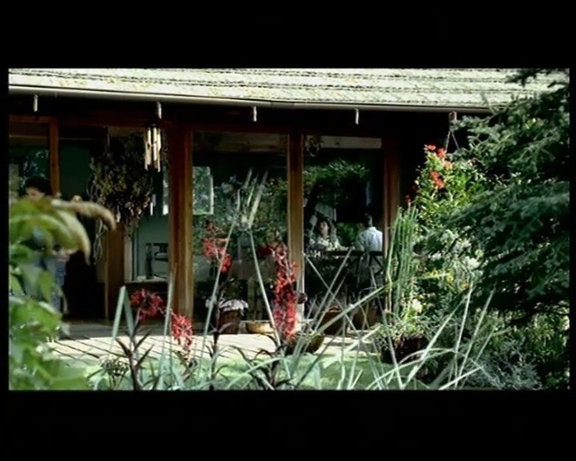 Video Reference: Nature, Vegetation, House, Garden, Yard, Backyard, Landscaping, Tree, Shed, Leaf