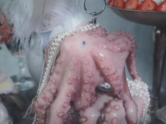 Video Reference: Octopus, Pink, giant pacific octopus, Cephalopod, Flesh, octopus, Organism, Peach, Marine invertebrates, Hand