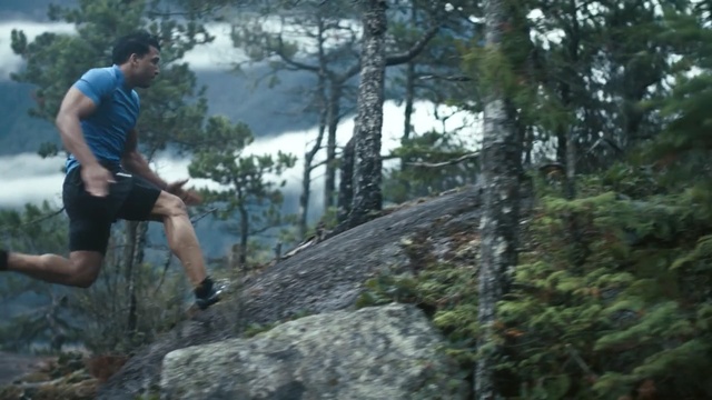 Video Reference: Outdoor recreation, Wilderness, Trail, Recreation, Adventure, Natural environment, Forest, Old-growth forest, Individual sports, Jungle, Person