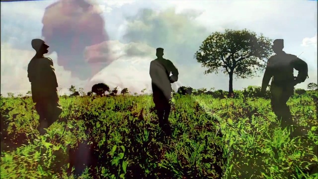 Video Reference: People in nature, Vegetation, Crop, Agriculture, Farmworker, Field, Adaptation, Farm, Plantation, Tree