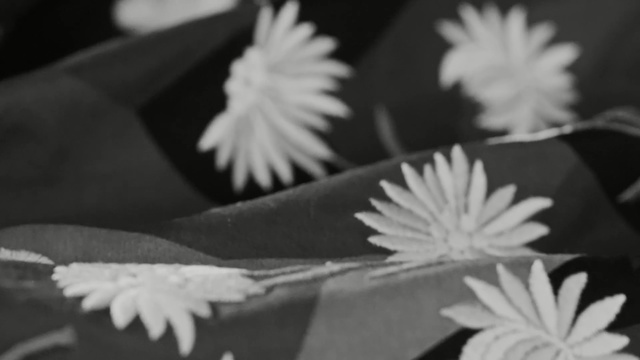 Video Reference: flower, white, black and white, black, monochrome photography, flora, petal, photography, monochrome, close up