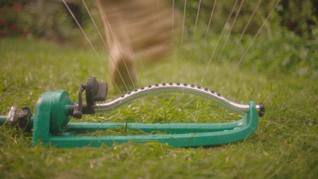 Video Reference: Grass, Lawn, Vehicle, Plant, Grassland