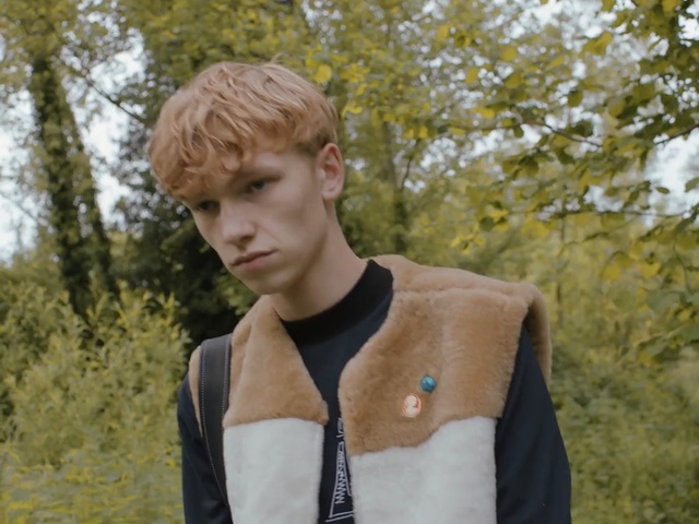 Video Reference: human hair color, boy, male, tree, outerwear, blond, human, grass, girl, plant, Person