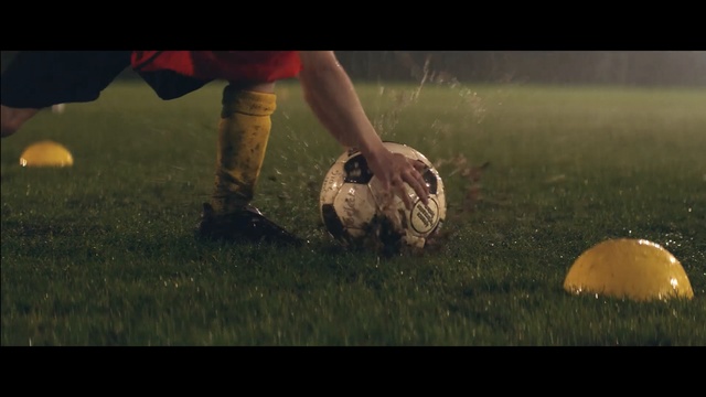 Video Reference: Ball, Football, Soccer ball, Grass, Photography, Football player, Tortoise