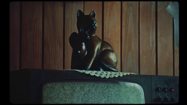 Video Reference: Black, Black cat, Darkness, Felidae, Photography, Cat, Whiskers, Fictional character, Sitting, Tail
