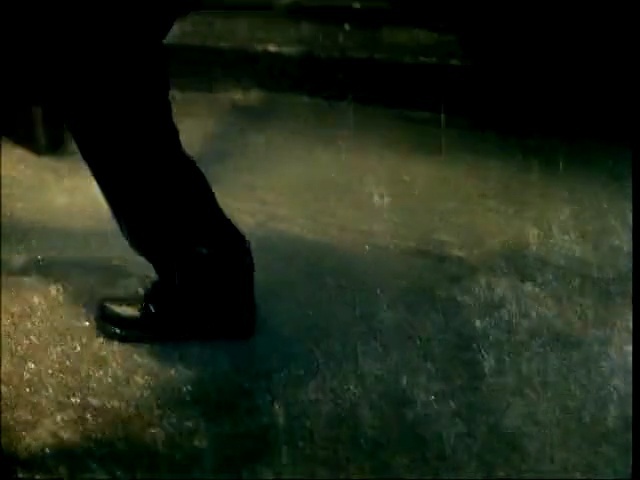 Video Reference: green, black, photograph, darkness, grass, water, atmosphere, light, photography, shadow