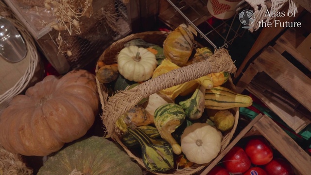 Video Reference: Vegetable, Local food, Natural foods, Food, Winter squash, Plant, Vegetarian food, Produce, Gourd, Fruit