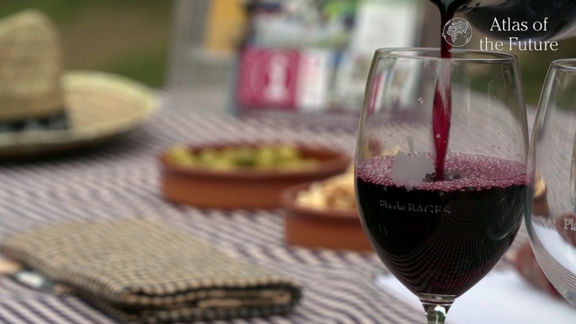 Video Reference: Drink, Red wine, Wine glass, Wine, Alcoholic beverage, Stemware, Kalimotxo, Champagne stemware, Glass, Wine cocktail