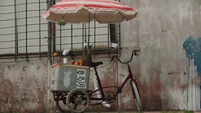 Video Reference: Vehicle, Mode of transport, Rickshaw, Cart, Tricycle