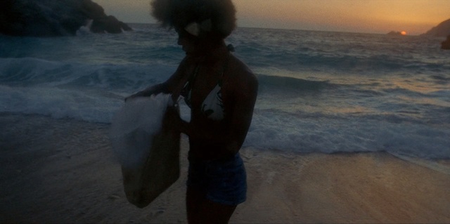 Video Reference: Photograph, Beach, Sea, Ocean, Sky, Vacation, Water, Wave, Shore, Fun