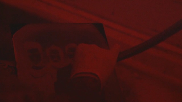 Video Reference: Red, Black, Maroon, Orange, Light, Brown, Text, Snapshot, Macro photography, Font