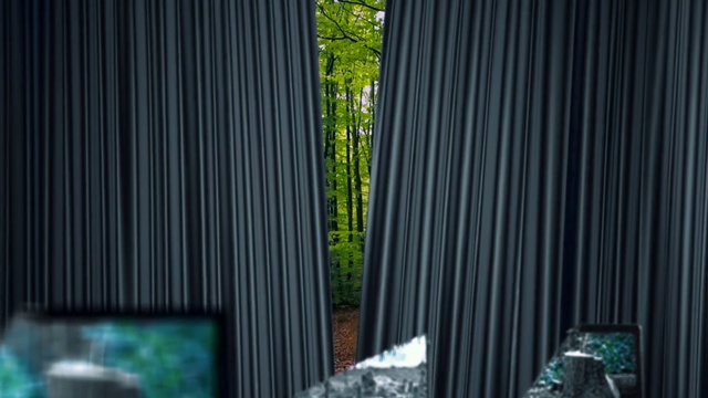 Video Reference: Green, Curtain, Tree, Textile, Window treatment, Architecture, Interior design, Window, Plant, Window covering