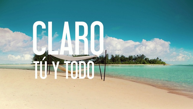 Video Reference: flag, beach, emblem, sand, sea, ocean, coast, sky, water, vacation, tropical, shore, travel, island, resort, landscape, summer, paradise, seaside, Person