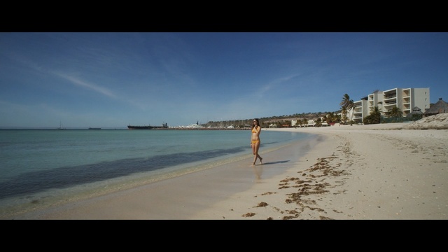 Video Reference: Body of water, Beach, Shore, Horizon, Coast, Sea, Sky, Ocean, Natural environment, Coastal and oceanic landforms