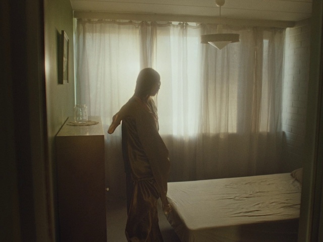 Video Reference: Light, Room, Standing, Window, Curtain, Dress, Sunlight, Textile, Interior design, Reflection