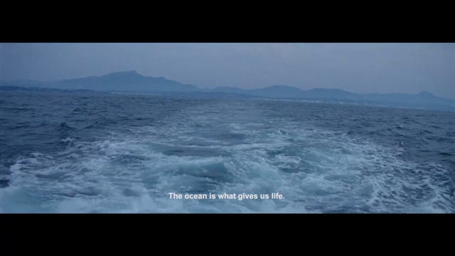 Video Reference: Body of water, Sea, Ocean, Wave, Water, Horizon, Sky, Wind wave, Atmosphere, Calm