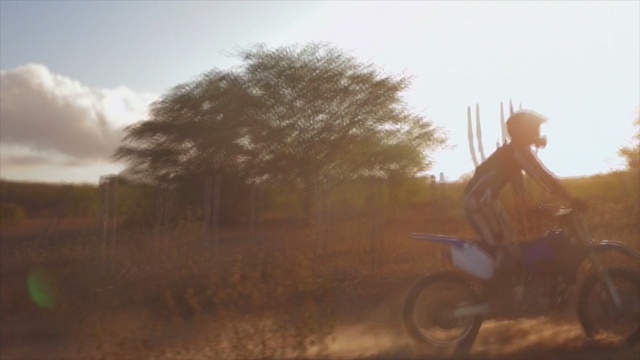 Video Reference: ecosystem, sky, morning, ecoregion, steppe, tree, soil, rural area, dust, sunlight, Person