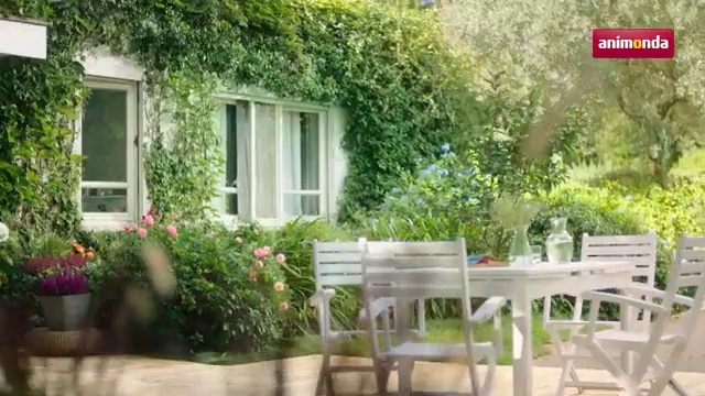 Video Reference: Property, House, Home, Building, Real estate, Cottage, Yard, Backyard, Garden, Tree