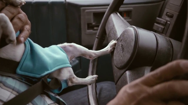 Video Reference: Arm, Hand, Leg, Muscle, Auto part, Shoe