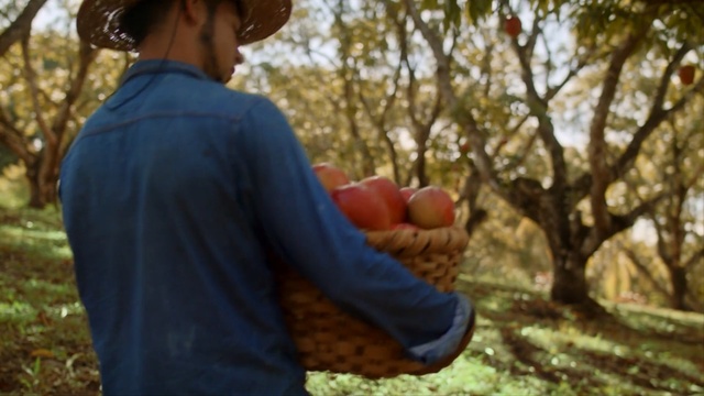 Video Reference: People in nature, Tree, Adaptation, Woodland, Fun, Outerwear, Plant, Soil, Branch, Hand, Person, Outdoor, Grass, Young, Holding, Boy, Park, Woman, Front, Child, Little, Standing, Man, Blue, Playing, Wearing, Girl, Throwing, Shirt, Bench, Apple, Field, Frisbee, Bat, Ball, Swinging, White, Fruit, Food, Autumn, Vegetable, Pumpkin, Squash, Clothing