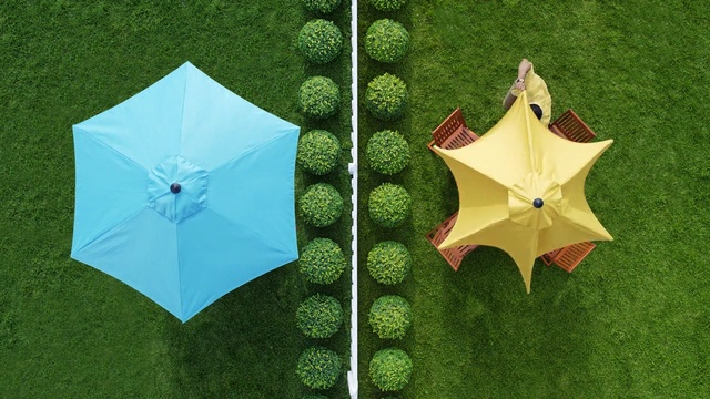 Video Reference: Green, Leaf, Grass, Plane, Plant, Paper, Origami, Art