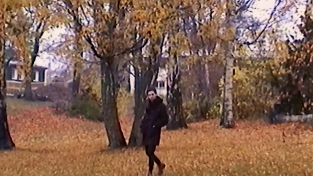 Video Reference: Tree, Leaf, Woody plant, Autumn, Woodland, Plant, Branch, Grass, Grass family, Walking