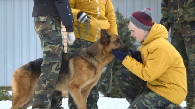 Video Reference: Dog, Mammal, Vertebrate, Canidae, Dog breed, Carnivore, Police dog, German shepherd dog, Belgian shepherd malinois, Kunming wolfdog