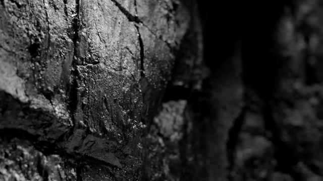 Video Reference: black, black and white, monochrome photography, rock, tree, trunk, photography, monochrome, darkness, formation