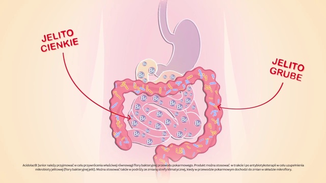 Video Reference: Text, Organ, Illustration, Organism, Human body, Font, Heart, Art, Heart, Graphics