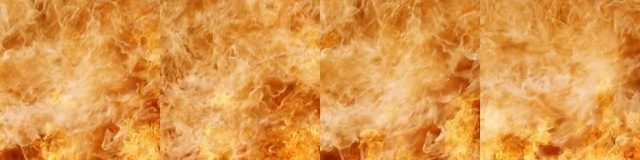 Video Reference: grain, grass family, close up, wheat, straw, field, grass, flame, sunlight, wood