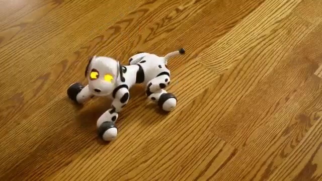 Video Reference: technology, flooring, floor, wood, hardwood, wood flooring